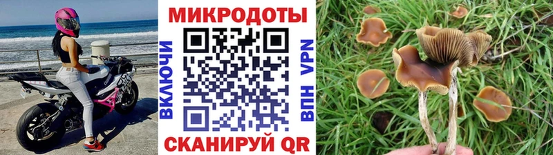Псилоцибиновые грибы прущие грибы  Мурманск 
