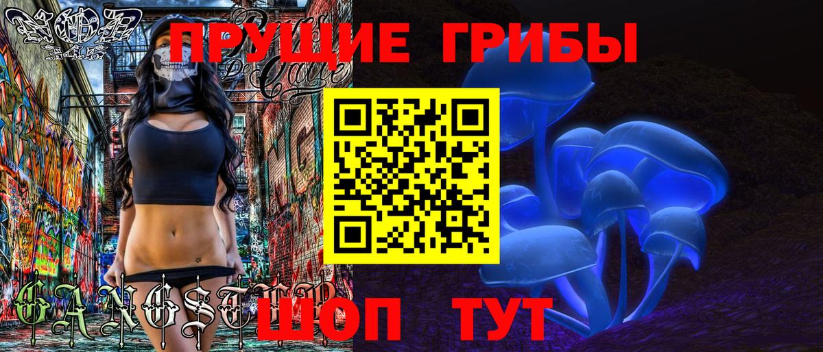 Галлюциногенные грибы GOLDEN TEACHER Мурманск