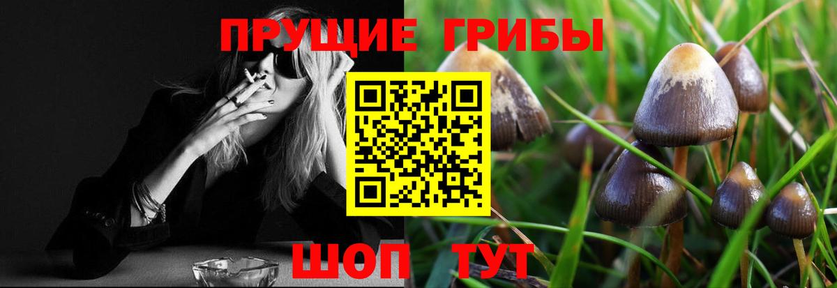 Мурманск  Псилоцибиновые грибы MAGIC MUSHROOMS  Вход с VPN 